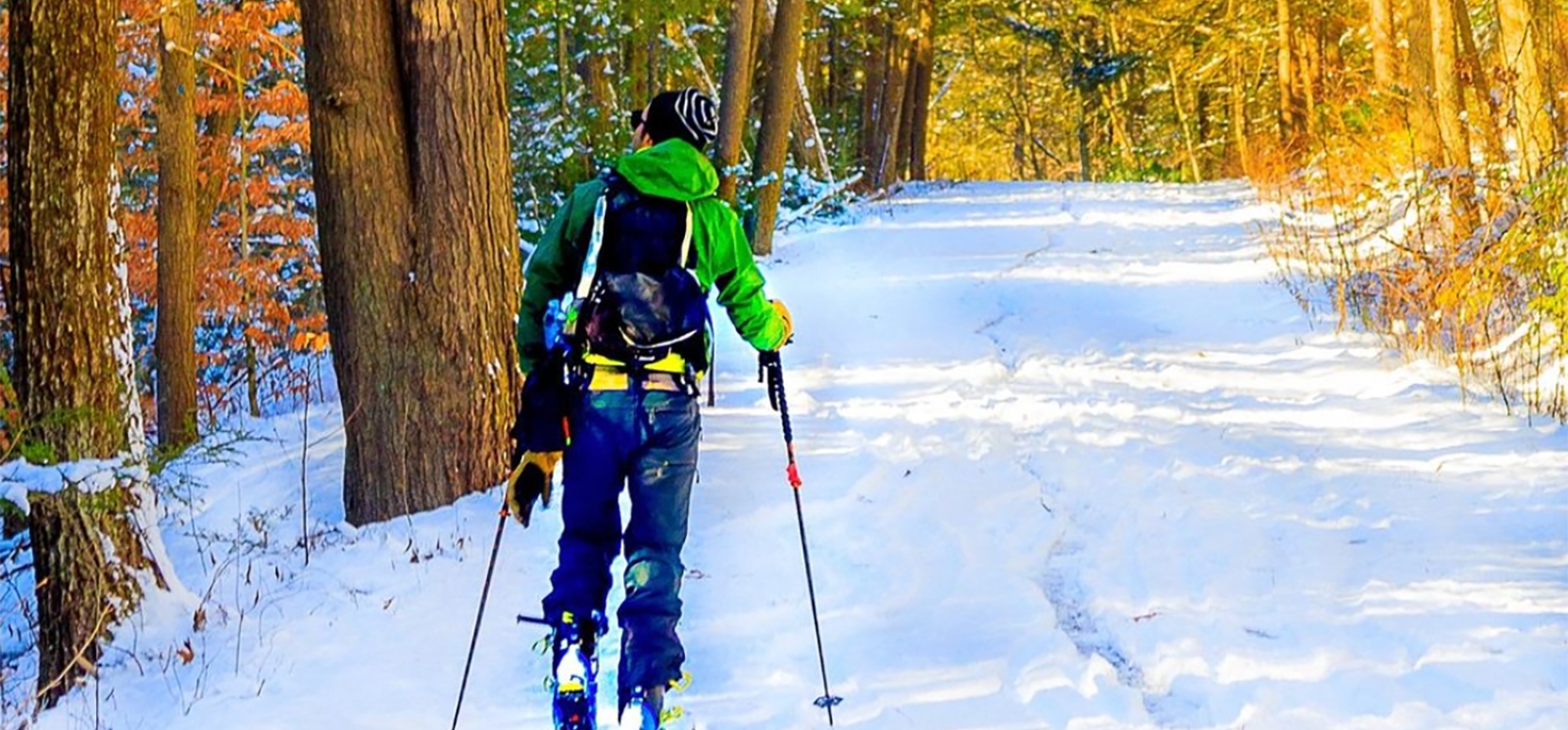 A man skiing through the woods (Instagram@ctvisit)