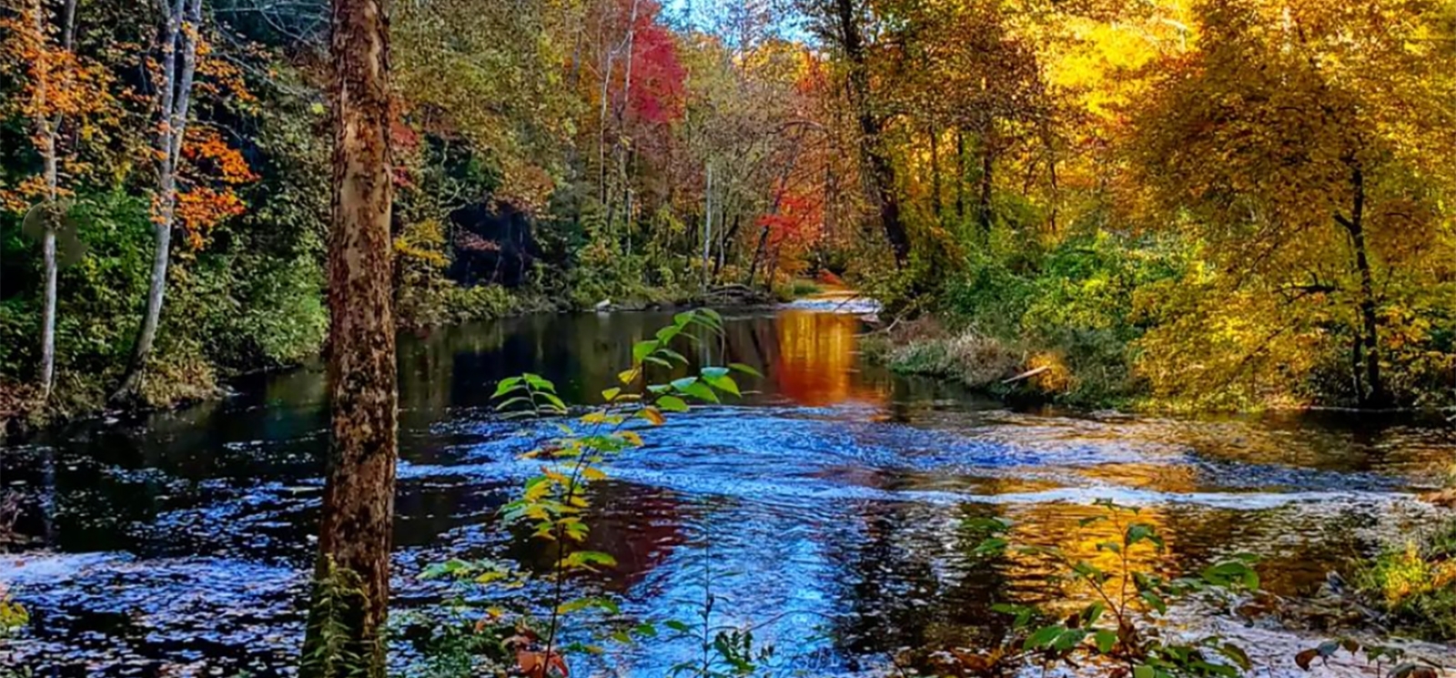 A river through the trees in fall (Instagram@lizardwest)