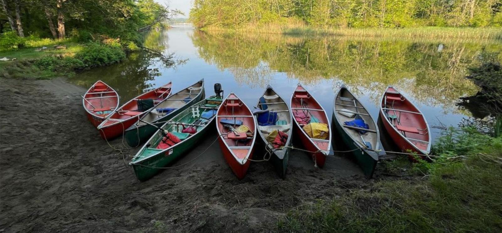 Canoes parked on the shore of the lake (Instagram@rookie1848)