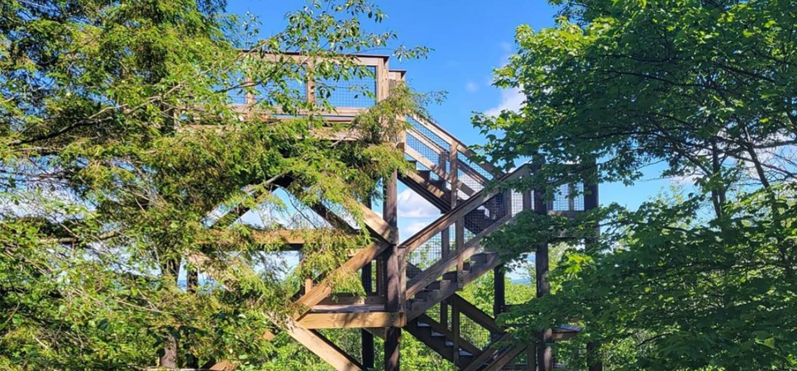 A wooden tower in the woods (Instagram@toddshiveley)