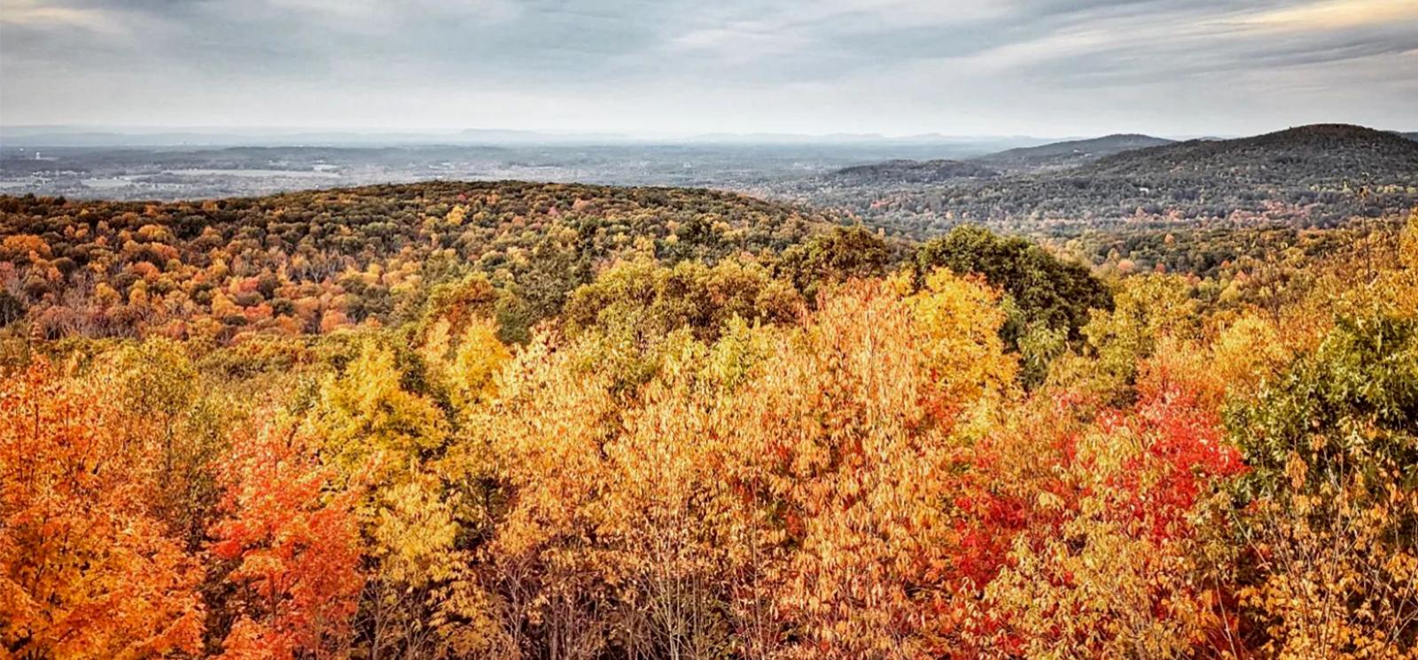 Cielo gris intenso sobre colinas ondulantes de follaje de otoño (Instagram@jessbiggs22)