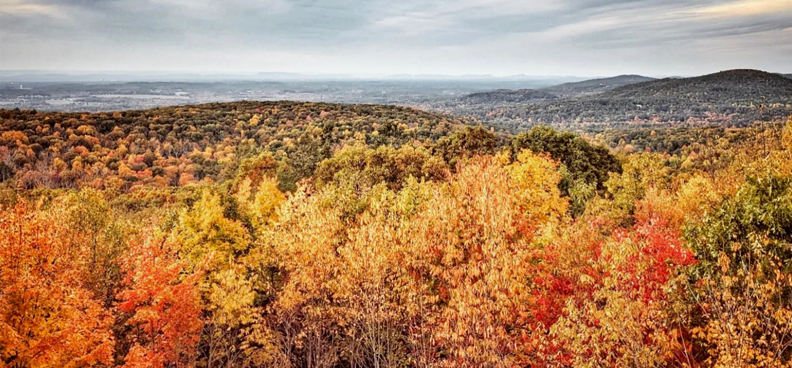 Intense gray sky over rolling hills of fall foliage (Instagram@jessbiggs22)