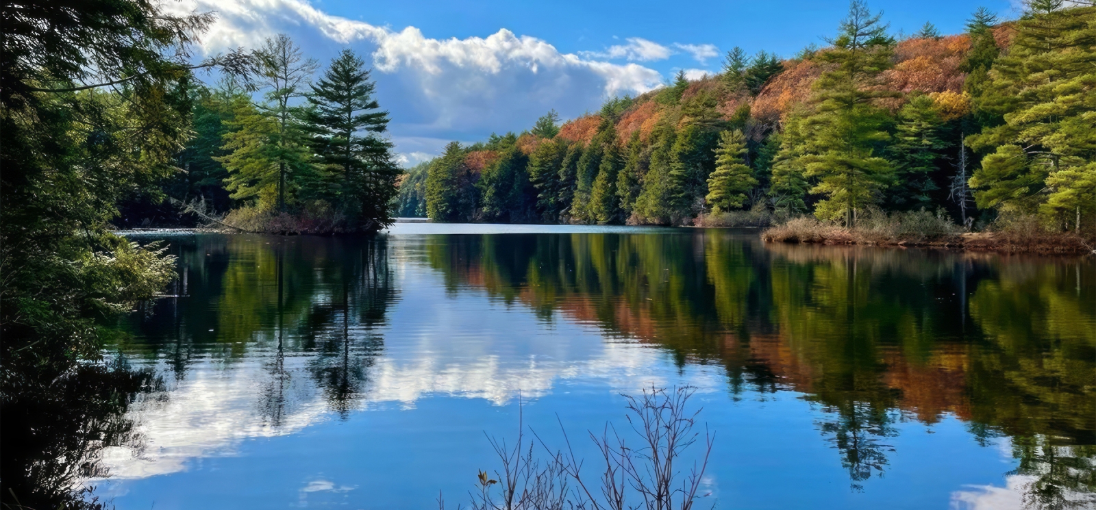 Waterfront view of pond at Nipmuck (Instagram@shel_b_cominaroundthemountain)