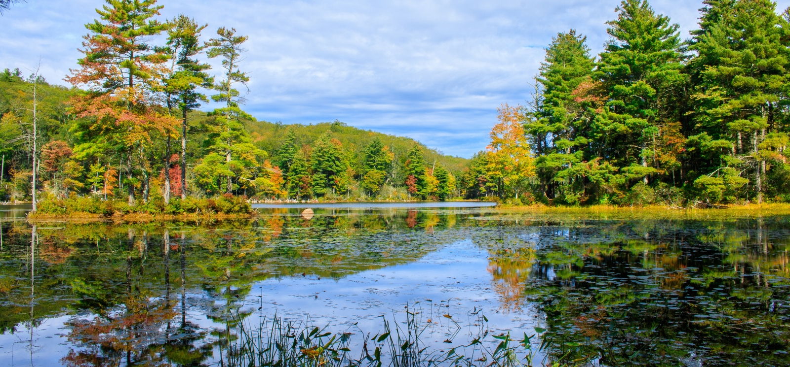 Beautiful nature shot of pond at Nipmuck State Forest