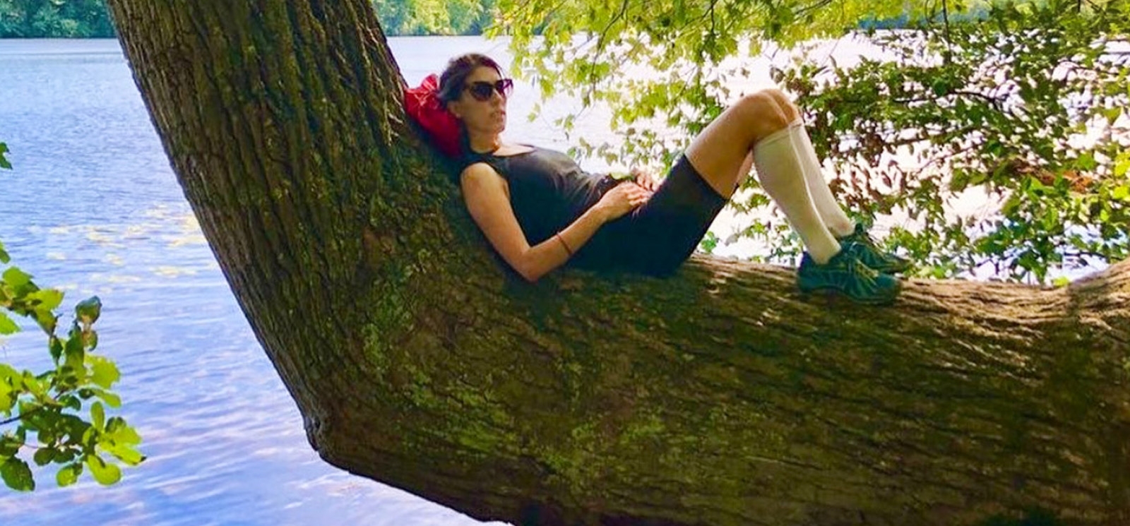 A person relaxing in a tree branch by a lake.