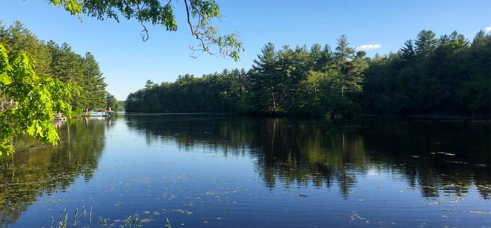 Frente al mar en el bosque estatal Quaddick (Instagram@stay_outside)