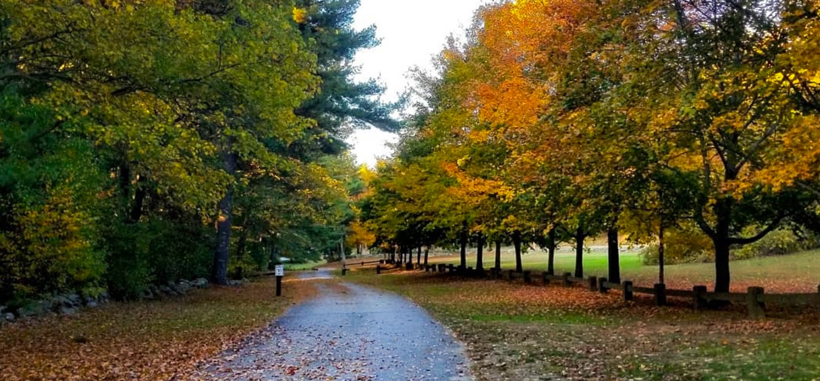 A park path surrounded by trees and colorful fall leaves.