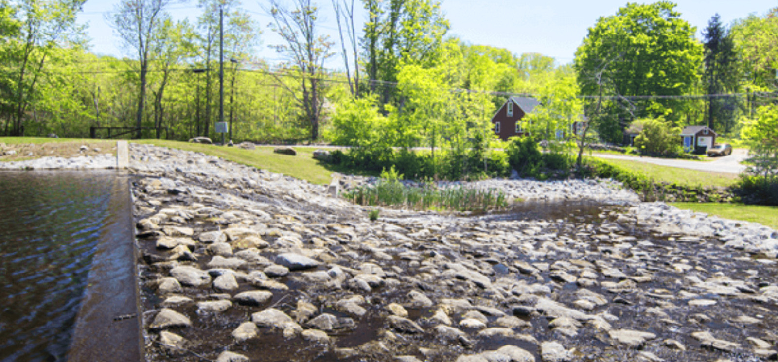 A rocky dam surrounded by the lush greenery of summer.