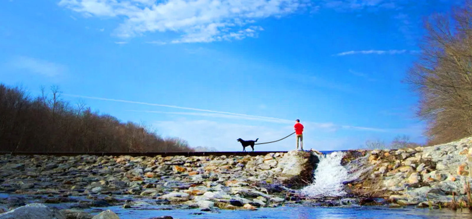 A man and his dog enjoying a scenic view overlooking the water.