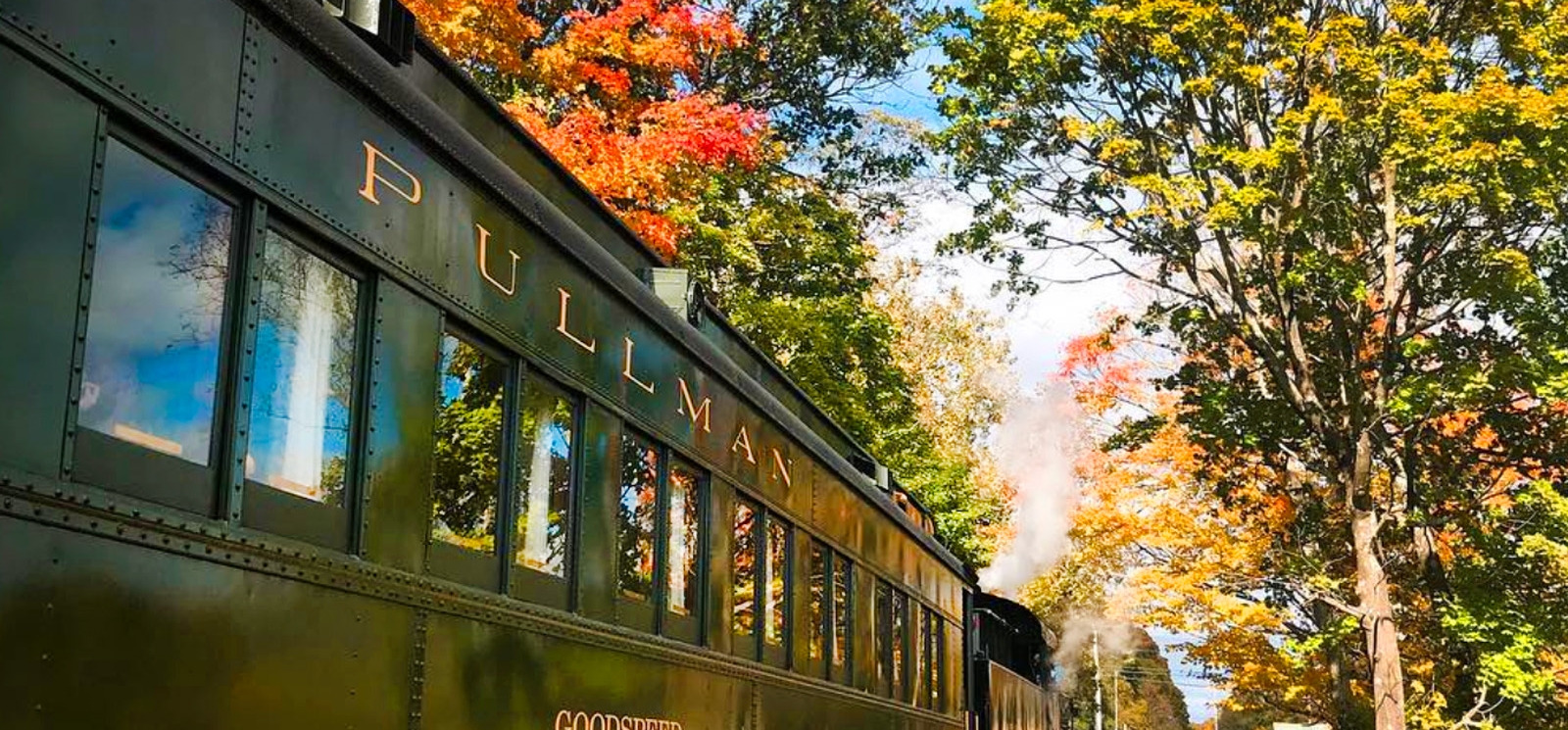 A train journeying through autumn-colored foliage.