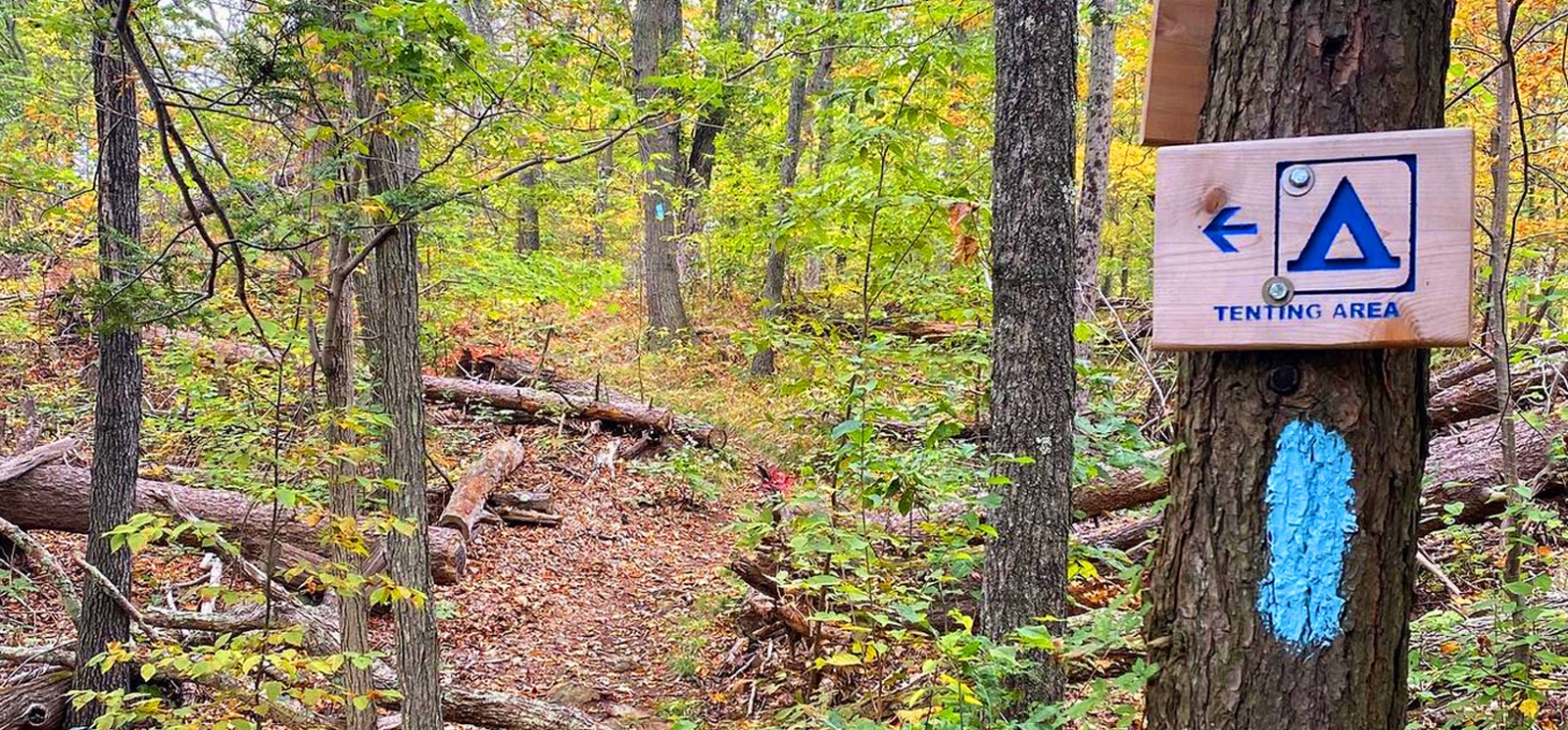 A blue trail sign in the woods, indicating a path for hikers or nature enthusiasts to follow.