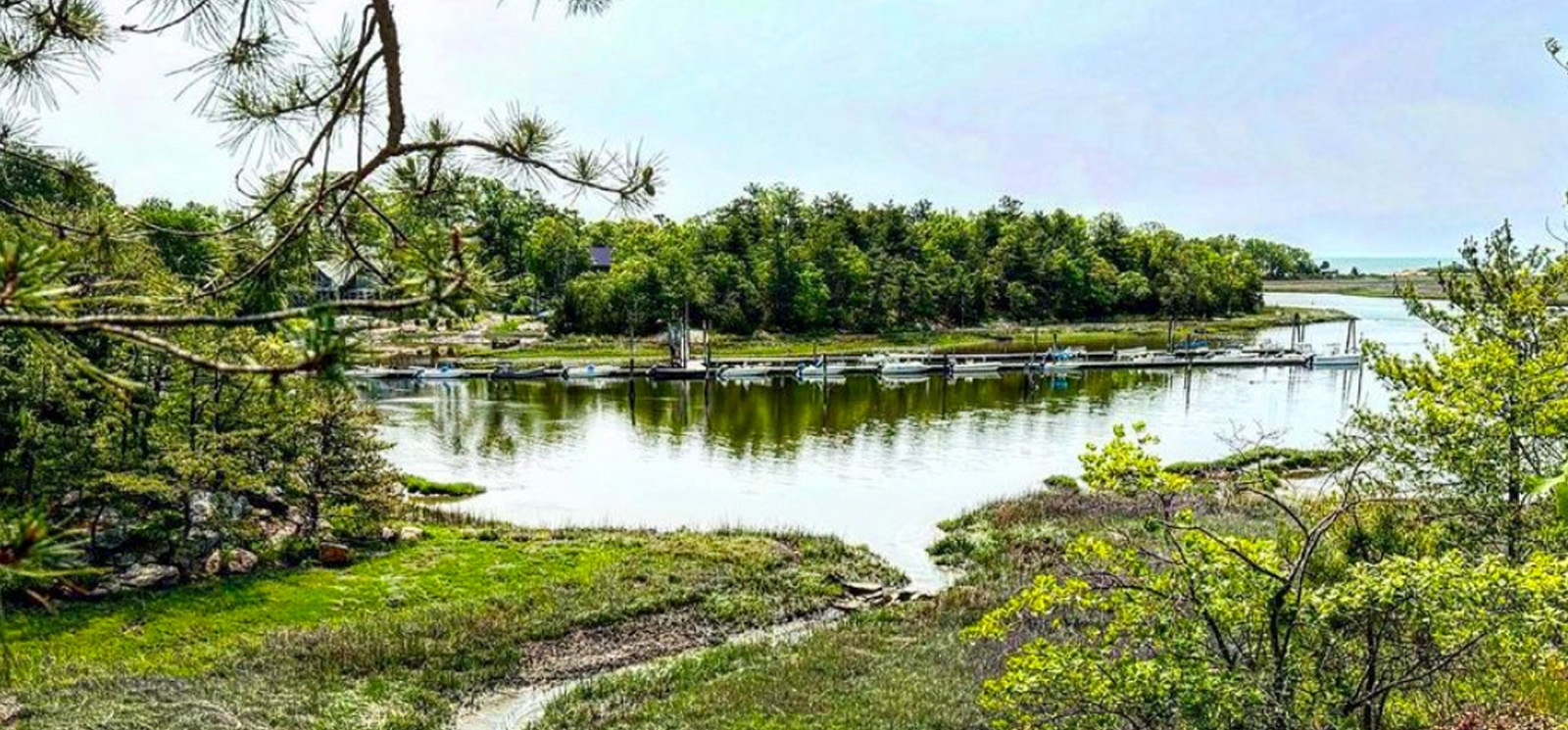 Una serena masa de agua y árboles vistos desde una ladera rocosa.