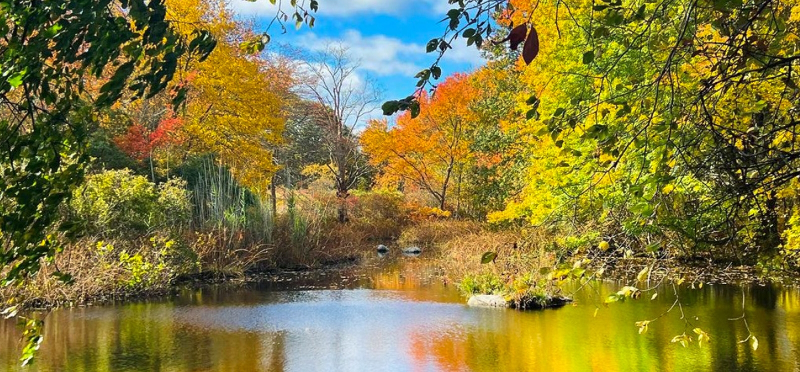 Los colores del otoño se reflejan en aguas tranquilas.