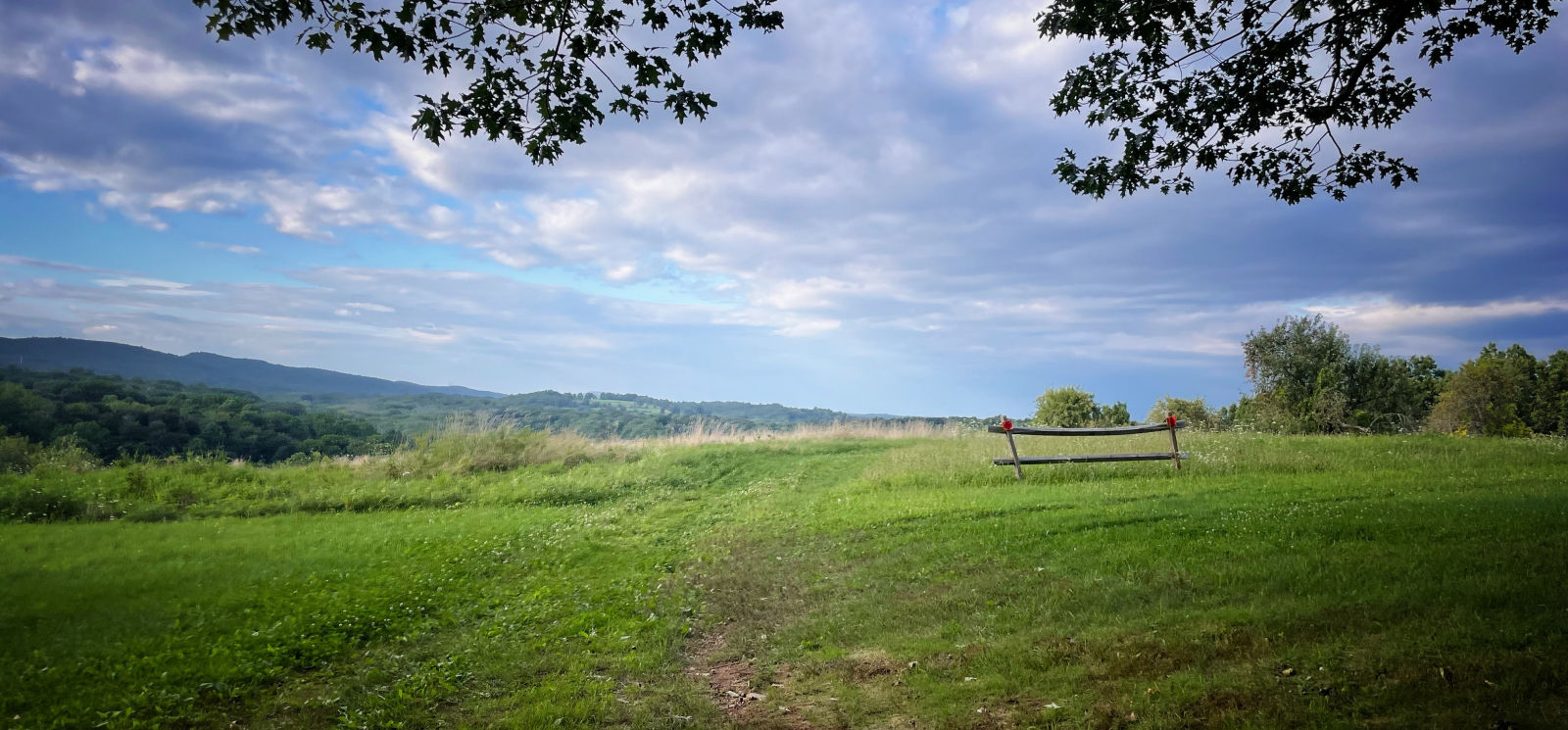 a view of vast green fields under a blue sky