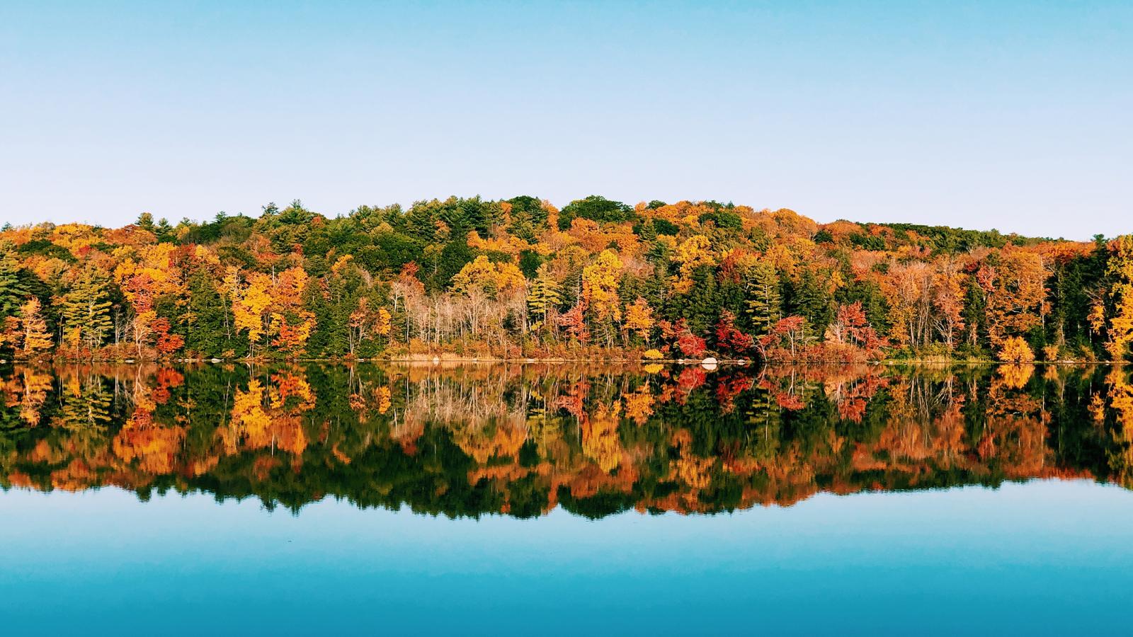 Fall view of foliage at Burr Pond State Park 