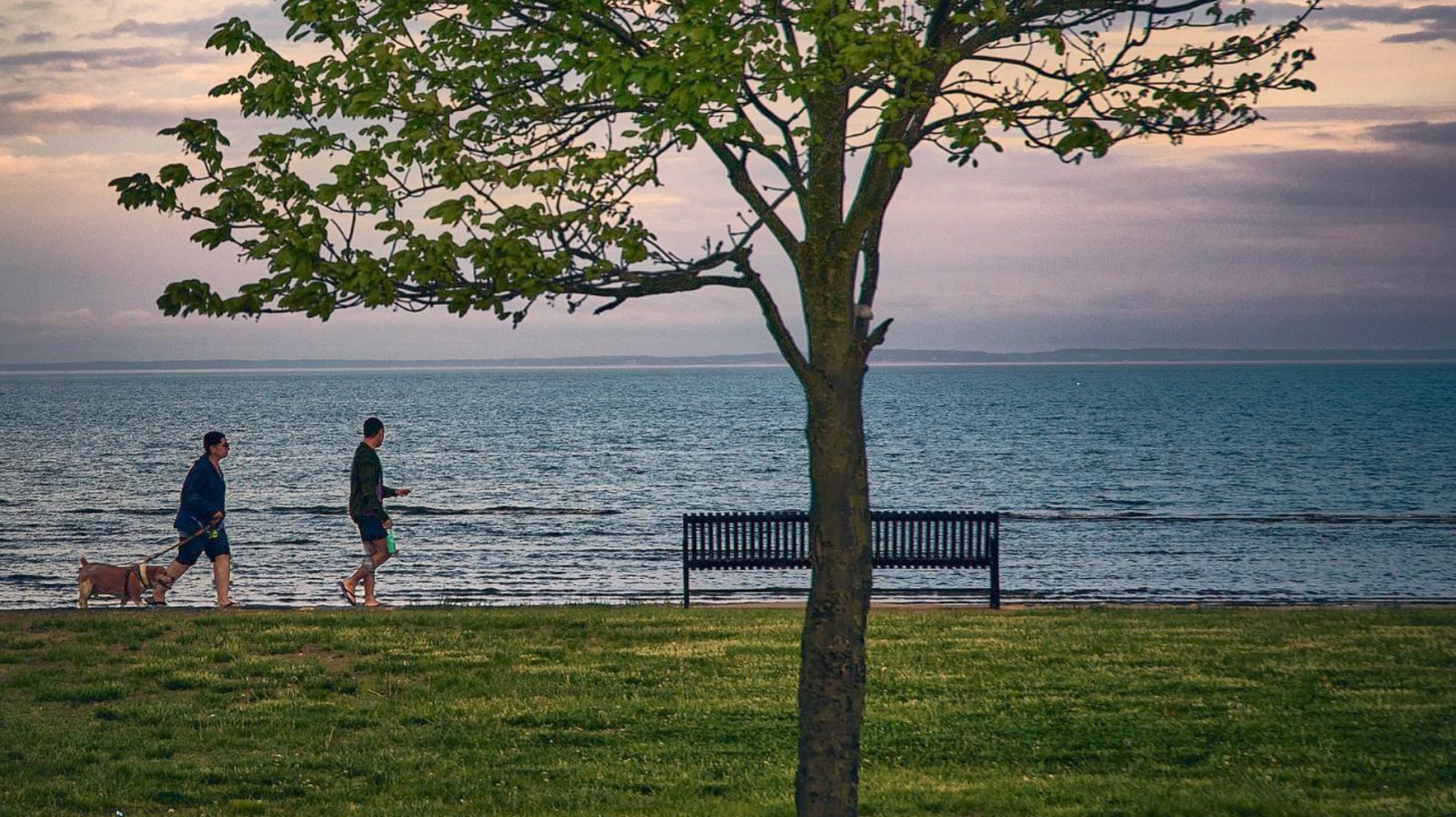 Una pareja con su perro paseando por la orilla del agua (Instagram@visinart8)