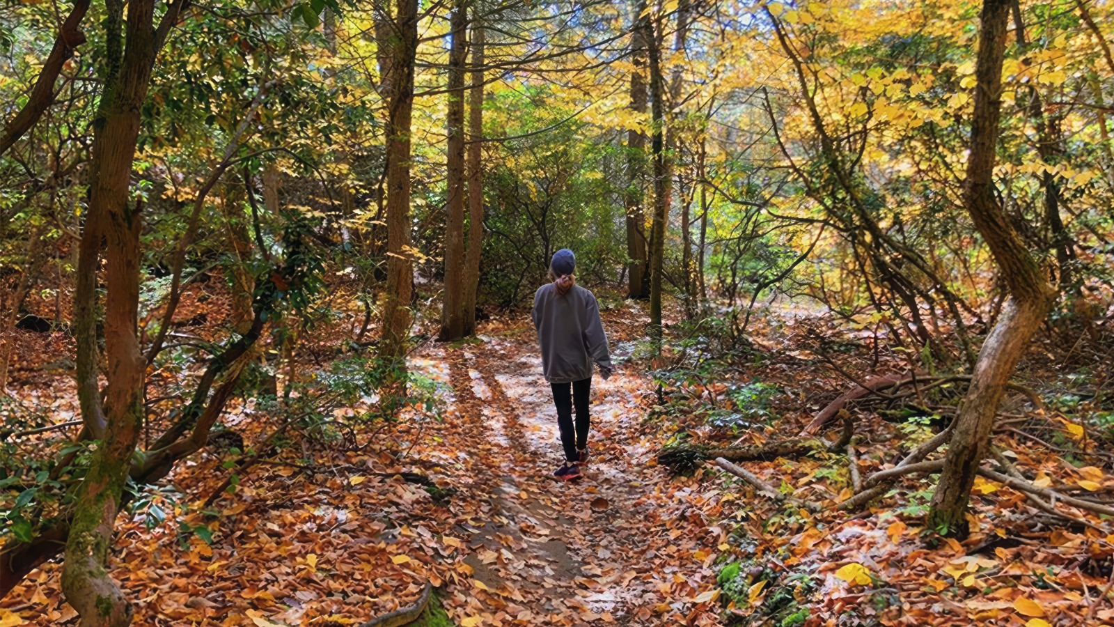 Woman hiking through woods at Black Rock State Park (Instagram@meganrosehff)