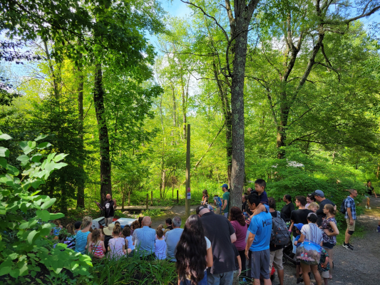 Multitud reunida. Día del Dinosaurio 2024
