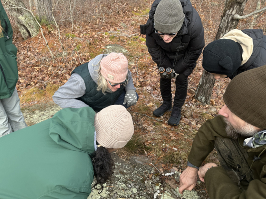 Seguimiento invernal con CTEE 2025