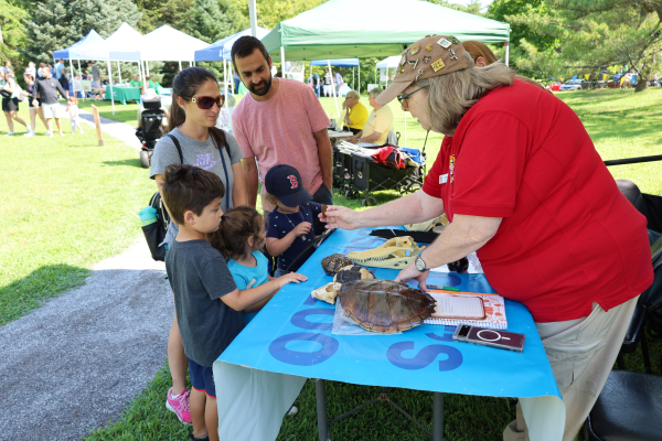 Actividad familiar en la mesa. Día del Dinosaurio 2025