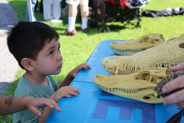 Niño en la mesa de fósiles. Día del Dinosaurio 2025