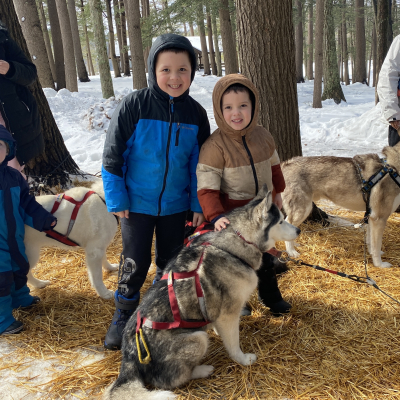 Diversión con perros de trineo, Festival de Invierno 21/02/2026