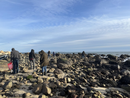 Investigación intermareal con CTEE. 2026