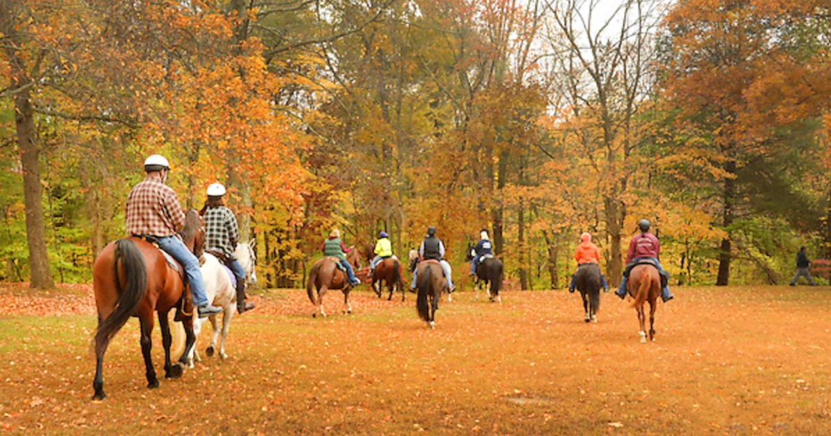 Hurd State Park