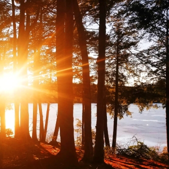 El sol asomando entre los árboles al atardecer en el Parque Estatal Burr Pond (Instagram@yankeeinconnecticut)