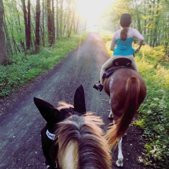 Riding horses down a trail in the woods (instagram@alwayshappier15)