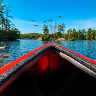 View from boat at Burr Pond State Park (Instagram@lensofsoulphotography)