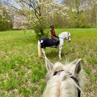 Horseback riding in a field of grass (Instagram@citytourguidenyc)