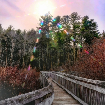 Sunflare over treeline at Chatfield Hollow State Park (Instagram@limeyakphoto)