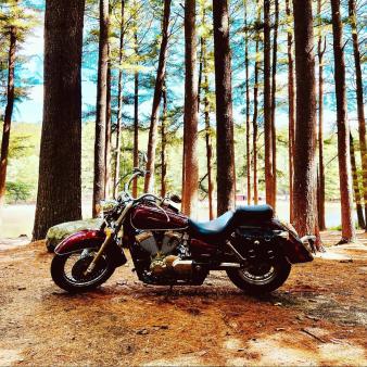 Portrait of motorcycle in the woods at Chatfield Hollow State Park (Instagram@hondashadowcruiser)