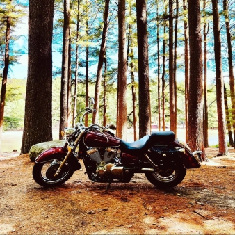 Retrato de una motocicleta en el bosque en Chatfield Hollow State Park (Instagram@hondashadowcruiser)