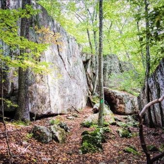 Rocks and rock walls in the woods (Flickr@bobgundersen)