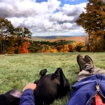 Dog and owner laying down in a field (Instagram@76dragon00)