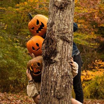 Three people with jack-o-lanterns hiding behind a tree (Instagram@lucylittlefieldphotos)