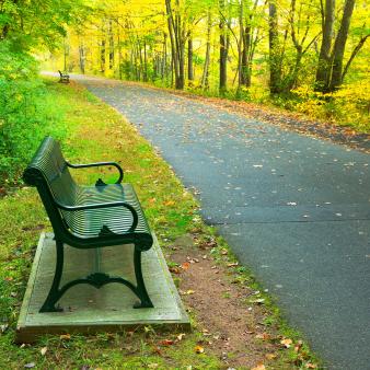 A bike path with bench and fall leaves on the ground