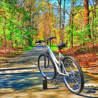 A bike parked on bike path in the woods (Instagram@linda_tedela)