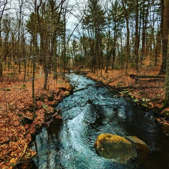 A river in the woods in the fall (Instagram@mikelphotoz)