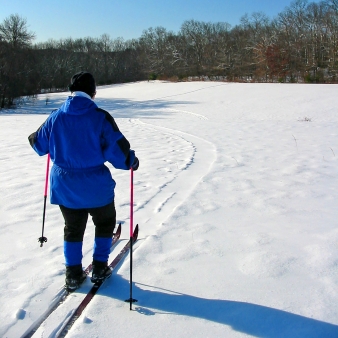 a person skiing 