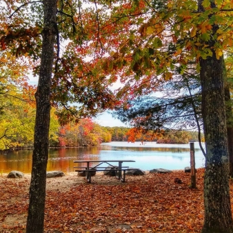 A campsite near a lake in the fall (Instagram@agollieno)