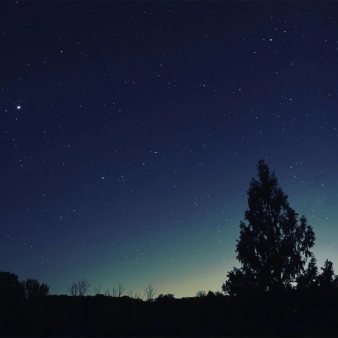 Una silueta de árboles con un cielo estrellado oscuro (Instagram@chefdickspix)