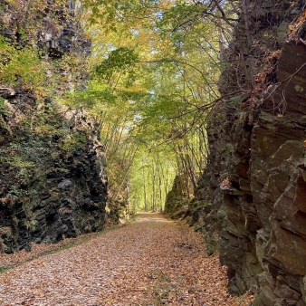 A leaf covered path between natural rock walls (Instagram@lifeisabeachphotos)