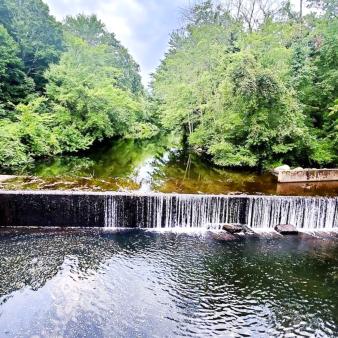 A dam waterfall with green trees (Instagram@polishamericangirl12)