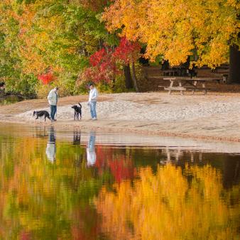 Two men with dogs walking along Hopeville Pond in Fall