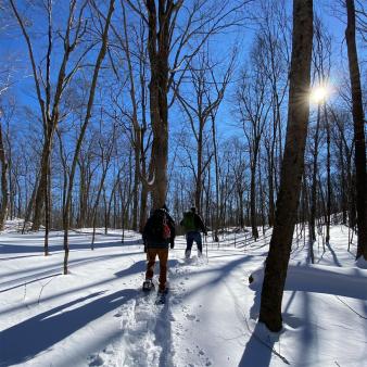 Two people snowshoeing through the woods in snow with blue sky (Instagram@mikevonct)