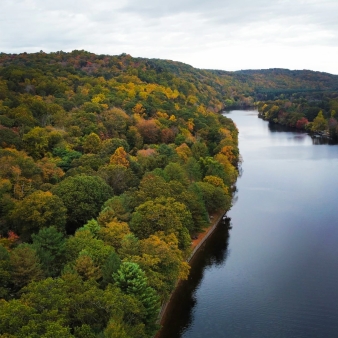 Aerial view of water and fall trees (Instagram@benseyrandy)