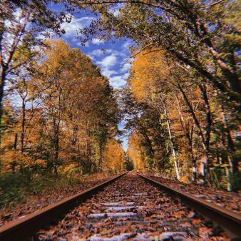 Railroad tracks through the woods in the fall (Instagram@__emotionallyfaded)